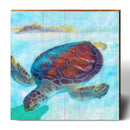 Pastel Loggerhead | Wall Art Print on Real Wood