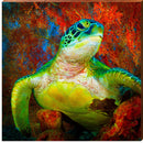 Amber Coral Cove Sea Turtle | Wall Art Print on Real Wood