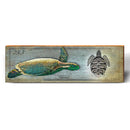 Hawksbill Sea Turtle Study | Wall Art Print on Real Wood