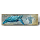 Leatherback Sea Turtle Study | Wall Art Print on Real Wood