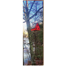 Lookout Mountain TN Bird House | Wall Art Print on Real Wood