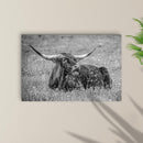 Black And White Longhorn Bull Canvas Wall Art