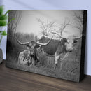 Monochrome Texas Longhorn Cattle Canvas Wall Art