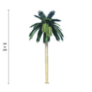 Royal Palm Artificial Tree 13ft–23ft – UV Resistant (10–12 Week Lead Time)