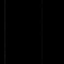 Low Zig Zag Gate