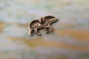 Tapir Lapel Pin