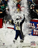 Tedy Bruschi Snow Celebration New England Patriots 8" x 10" Football Photo