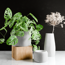 Orbis Planter