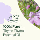 Thyme Thymol Essential Oil