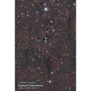 N208CF Newtonian Telescope (Astrograph Edition)