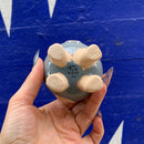 Tiny Blue Walrus Pot | Cute Animal Shaped Ceramic Planter | 2.5" Tall