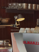 Tolomeo Pinza Clip Lamp