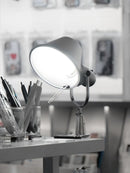 Tolomeo Pinza Clip Lamp
