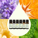 Top 6 Organic Singles Essential Oil Set
