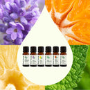 Top 6 Organic Singles Essential Oil Set
