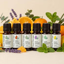 Top 6 Organic Singles Essential Oil Set