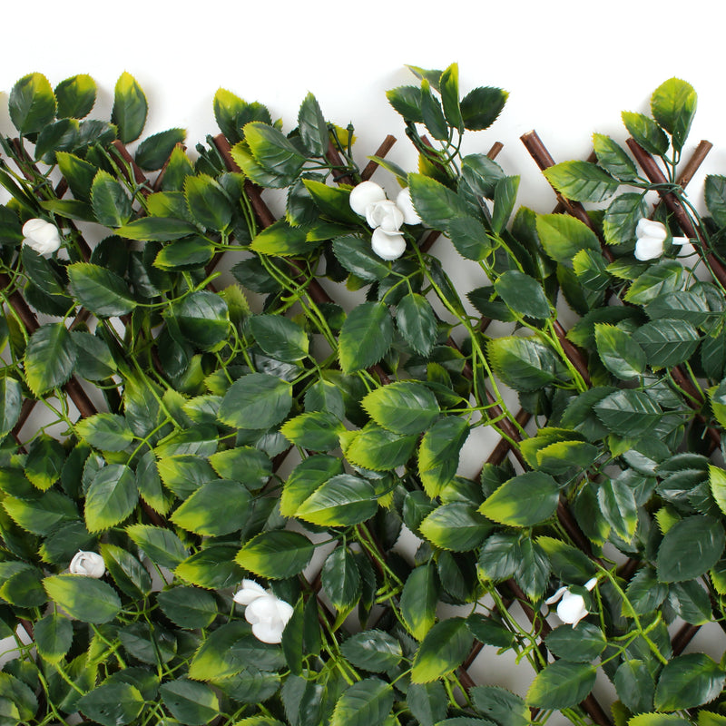 White Flower Sakura Trellis