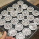 Trichocereus Cactus Seeds Pachanoi, Peruvianus, Bridgesii, Scopulicola, Hybrid seed & others