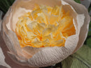 Tried & True | Assorted Peony Bouquet