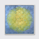 Triteleia - Limited Edition Canvas Print