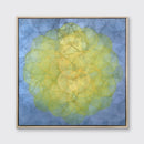 Triteleia - Limited Edition Canvas Print