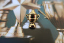 Trophy Gold Lapel Pin