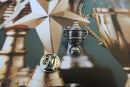 Trophy Lapel Pin