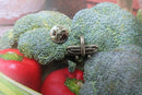 Trug Lapel Pin