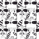 Stylish Raccoon Wallpaper Smart