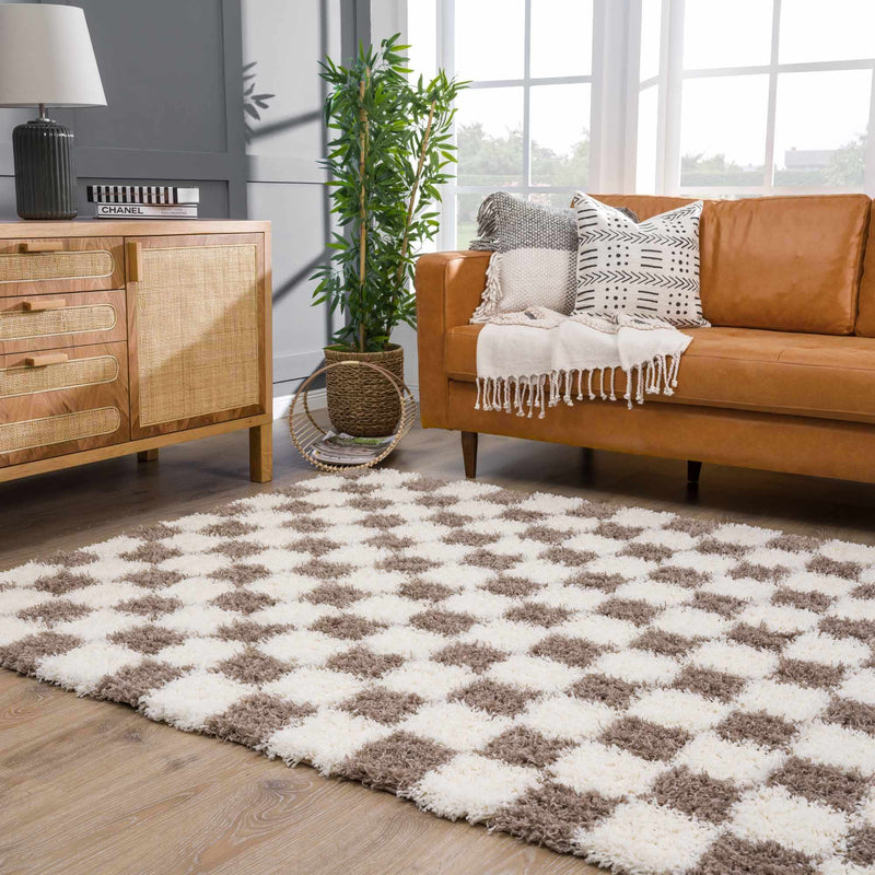 Atira Brown Checkered Area Rug