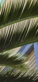 Royal Palm Artificial Tree 13ft–23ft – UV Resistant (10–12 Week Lead Time)