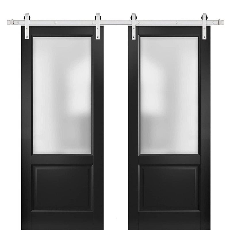 Lucia 22 Matte Black Double Barn Door with Frosted Glass | Silver Finish Rail