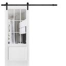 Felicia 3599 Matte White Barn Door with 9 Lites Clear Glass and Black Rail