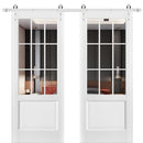 Felicia 3599 Matte White Double Barn Door with 9 Lites Clear Glass | Silver Finish Rail