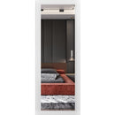 Lucia 1299 Matte White Barn Door Slab with Mirror Glass