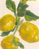 Lemon Branch