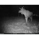 Bresser 12 Megapixel Game Camera