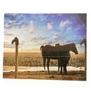 Horse Sunset Wood Print | 10" x 8" | Journey West Photographer