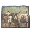 Longhorn Cattle Wood Print | 10" x 8" | Journey West Photographer