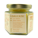 Cinnamon Vanilla Scented Candle | Multiple Sizes | Blended Light
