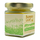 Fresh Outdoor Scented Candle | Multiple Sizes | Blended Light