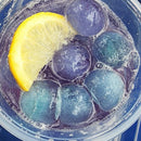 SALE PAST DATED | Magic Blue Butterfly Tea | Cold Brew Herbal Tea | 2 Pitcher Bags | Caffeinated | Tea n More
