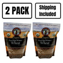 Organic Hard Red Winter Wheat | 2 lb | Pack of 2 | Non-GMO | Shipping Included | Grain Place Foods