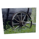Single Pack Greeting Card | Mutliple Designs | Kenn Stobbe