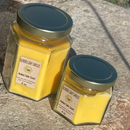 Mulled Cider Scented Candle | Multiple Sizes | Blended Light