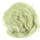 Usnea Lichen - Old man Beard - Wildcrafted