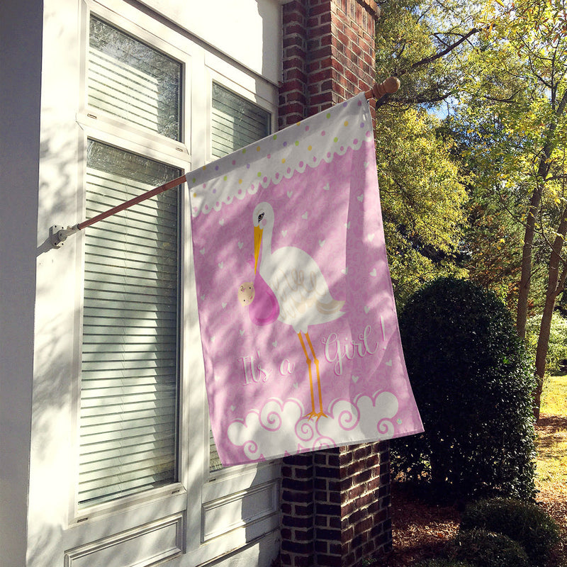 It's a Baby Girl Flag Canvas House Size VHA3013CHF