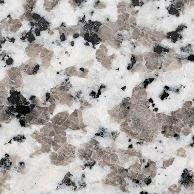 Argento Grigio 61" Granite Vanity Top with Backsplash - MSI Collection