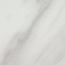 Calacatta Lumas 31" Single Bathroom Vanity with Tops - MSI Collection