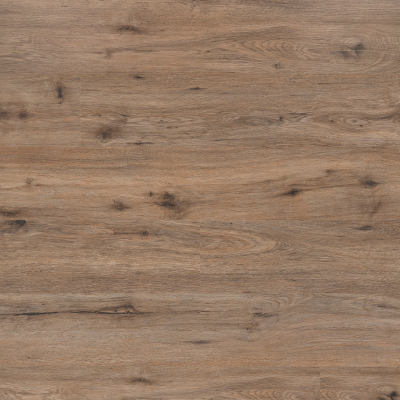 Kallum Fauna 9"x48"x20MIL Loose Lay Luxury Vinyl Plank Flooring - MSI Collection wall view